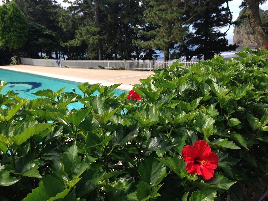 Dogashima Onsen Hotel Nishiizu Extérieur photo